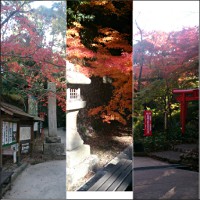 油山寺