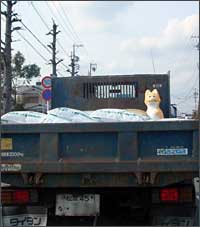 車で走っていた時の風景